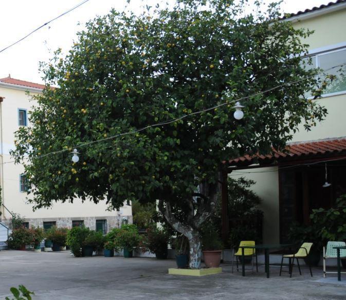 Costa-Rini Hotel Леонидион Экстерьер фото